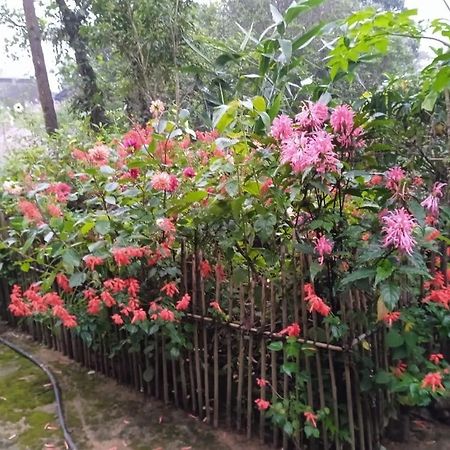 Meikha Homestay Pynursla Εξωτερικό φωτογραφία