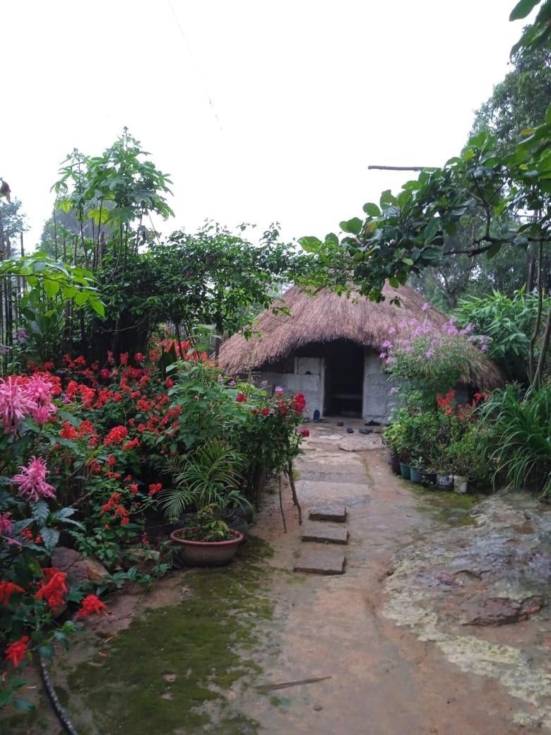 Meikha Homestay Pynursla Εξωτερικό φωτογραφία